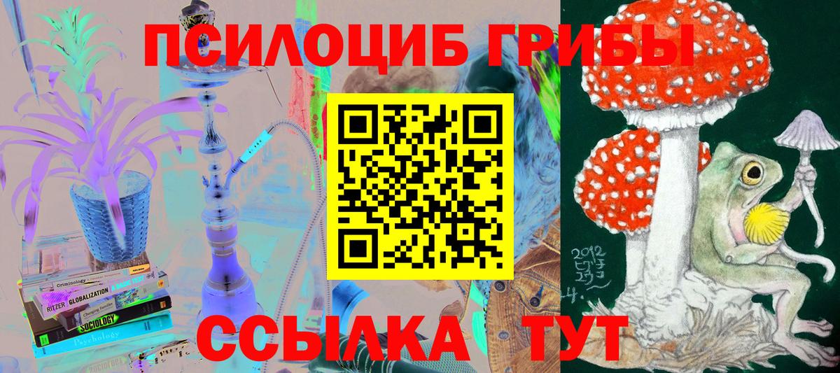 Псилоцибиновые грибы ЛСД  Псилоцибиновые грибы прущие грибы  Кохма  Вход с VPN 